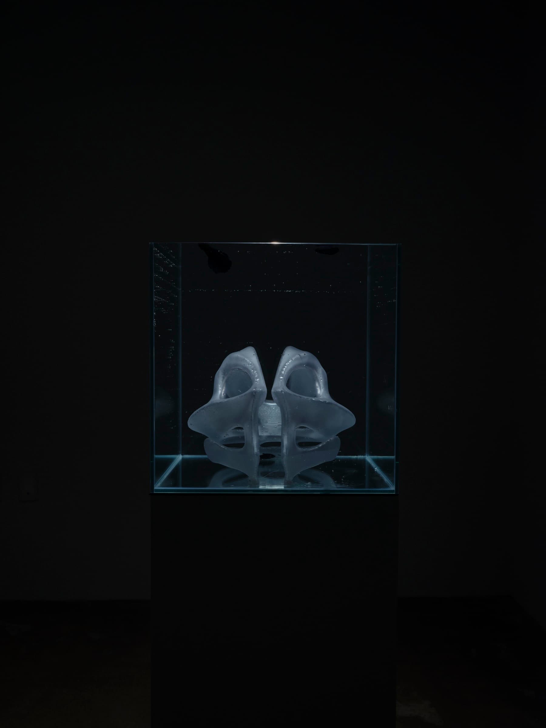 Second Anatomy — installation view 6